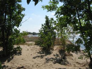 IMG_5260.JPG
