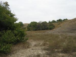 IMG_5490.JPG