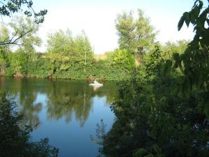 IMG_5373.JPG