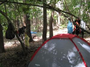 IMG_5470.JPG