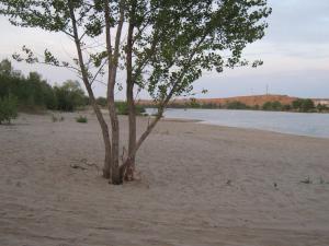 IMG_5227.JPG