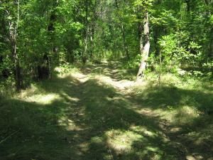 IMG_5242.JPG