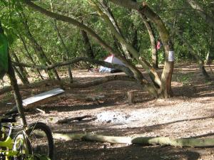 IMG_5236.JPG