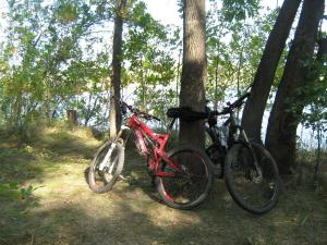 IMG_5440.JPG