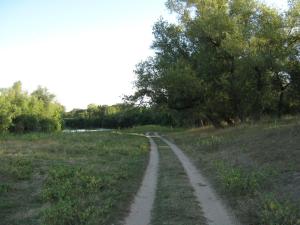 IMG_5310.JPG