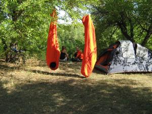 IMG_5359.JPG