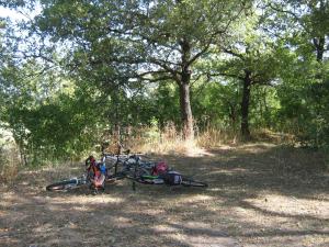 IMG_5434.JPG