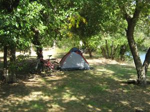 IMG_5337.JPG