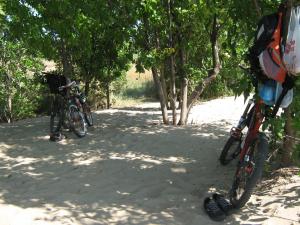 IMG_5258.JPG