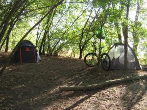 IMG_5237.JPG