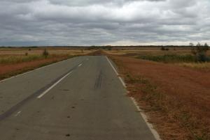 P1010589.jpg