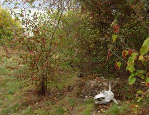 P1010620.jpg