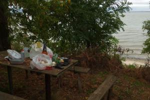 P1010641.jpg