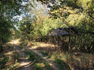 100921_258 copy.jpg