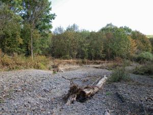 100921_263 copy.jpg