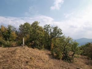 100921_268 copy.jpg