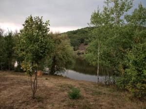 100921_275 copy.jpg