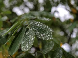 100922_289 copy.jpg