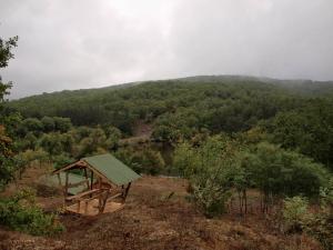100922_293 copy.jpg