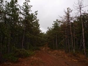 100922_294 copy.jpg