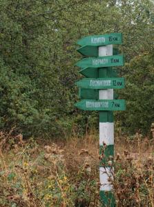 100922_297 copy.jpg
