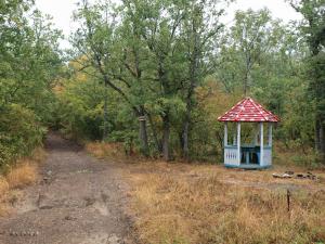 100922_298 copy.jpg