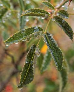 100922_304 copy.jpg