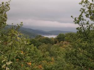 100922_01 copy.jpg