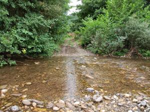 100922_041 copy.jpg