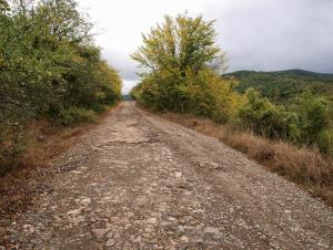 100922_071 copy.jpg