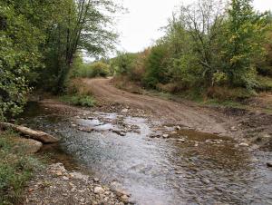 100922_091 copy.jpg