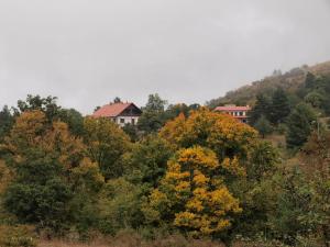 100922_18 copy.jpg