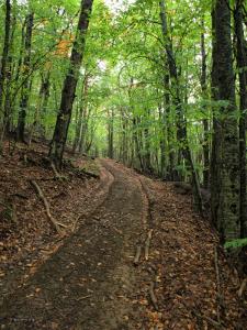 100922_211 copy.jpg