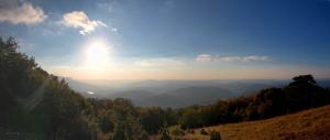 Untitled_Panorama1.jpg