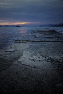 IMG_9367.JPG