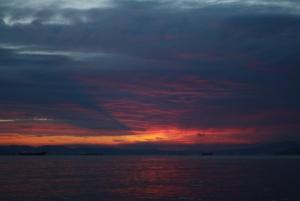 IMG_9381.JPG