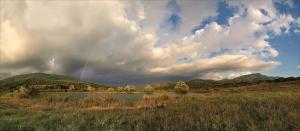 Untitled_Panorama5.jpg