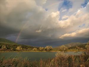 20110912_87.jpg