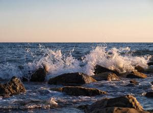 20110913_299.jpg
