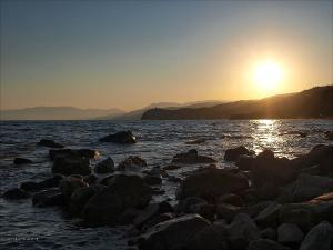 20110913_298.jpg
