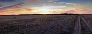 IMG_3479-Panorama.jpg