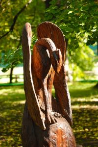 IMG_3916.jpg