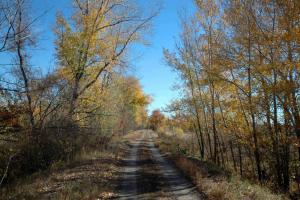 20121021_115946.JPG
