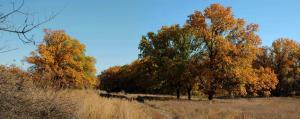 20121021_131550_Group 2 images.jpg