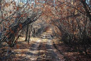 20121021_131904.JPG