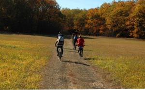20121021_141734.JPG