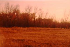 20121021_171538.JPG