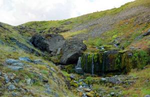 20120805_161740_Group 9 images.jpg