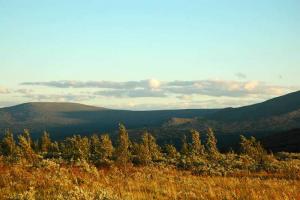 20120803_214325.jpg