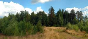 20120809_121242_Group 4 images.jpg
